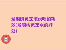 龙眼树灵芝泡水喝的功效(龙眼树灵芝水的好处)