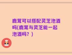 鹿茸可以搭配灵芝泡酒吗(鹿茸与灵芝能一起泡酒吗？)