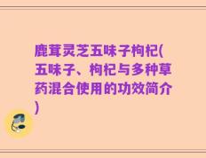 鹿茸灵芝五味子枸杞(五味子、枸杞与多种草药混合使用的功效简介)