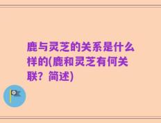 鹿与灵芝的关系是什么样的(鹿和灵芝有何关联？简述)