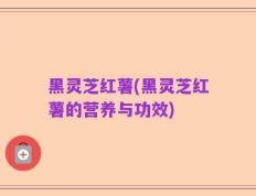 黑灵芝红薯(黑灵芝红薯的营养与功效)