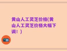 黄山人工灵芝价格(黄山人工灵芝价格大幅下调！)
