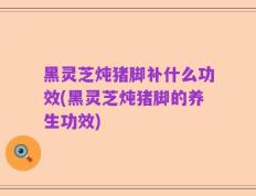 黑灵芝炖猪脚补什么功效(黑灵芝炖猪脚的养生功效)