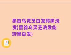 黑首乌灵芝白发转黑洗发(黑首乌灵芝洗发能转黑白发)
