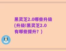 黑灵芝2.0哪些升级(升级!黑灵芝2.0有哪些提升？)