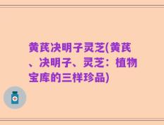 黄芪决明子灵芝(黄芪、决明子、灵芝：植物宝库的三样珍品)