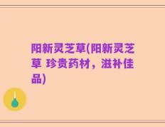 阳新灵芝草(阳新灵芝草 珍贵药材，滋补佳品)