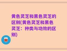 黄色灵芝和黑色灵芝的区别(黄色灵芝和黑色灵芝：种类与功效的区别)
