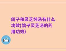 鸽子和灵芝炖汤有什么功效(鸽子灵芝汤的药用功效)