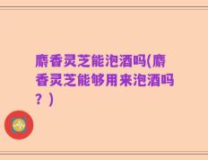 麝香灵芝能泡酒吗(麝香灵芝能够用来泡酒吗？)