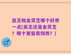 鼠王和金灵芝哪个好养一点(鼠王还是金灵芝？哪个更容易饲养？)