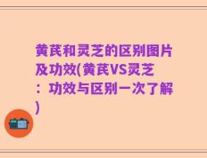 黄芪和灵芝的区别图片及功效(黄芪VS灵芝：功效与区别一次了解)