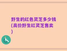野生的红色灵芝多少钱(高价野生红灵芝售卖)