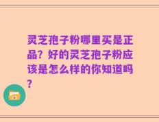 灵芝孢子粉哪里买是正品？好的灵芝孢子粉应该是怎么样的你知道吗？