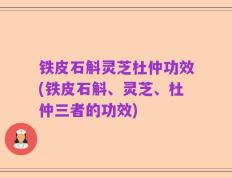 铁皮石斛灵芝杜仲功效(铁皮石斛、灵芝、杜仲三者的功效)