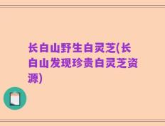 长白山野生白灵芝(长白山发现珍贵白灵芝资源)