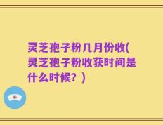 灵芝孢子粉几月份收(灵芝孢子粉收获时间是什么时候？)