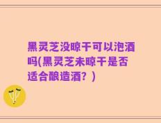 黑灵芝没晾干可以泡酒吗(黑灵芝未晾干是否适合酿造酒？)