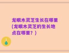 龙眼木灵芝生长在哪里(龙眼木灵芝的生长地点在哪里？)