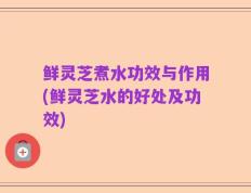 鲜灵芝煮水功效与作用(鲜灵芝水的好处及功效)