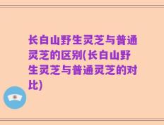 长白山野生灵芝与普通灵芝的区别(长白山野生灵芝与普通灵芝的对比)