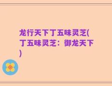 龙行天下丁五味灵芝(丁五味灵芝：御龙天下)