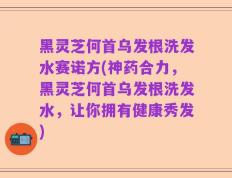 黑灵芝何首乌发根洗发水赛诺方(神药合力，黑灵芝何首乌发根洗发水，让你拥有健康秀发)