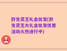 野生灵芝礼盒批发(野生灵芝大礼盒批发优惠活动火热进行中)