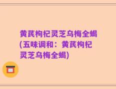 黄芪枸杞灵芝乌梅全蝎(五味调和：黄芪枸杞灵芝乌梅全蝎)