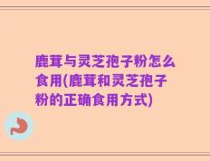 鹿茸与灵芝孢子粉怎么食用(鹿茸和灵芝孢子粉的正确食用方式)