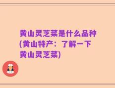 黄山灵芝菜是什么品种(黄山特产：了解一下黄山灵芝菜)