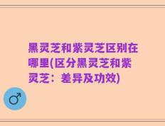 黑灵芝和紫灵芝区别在哪里(区分黑灵芝和紫灵芝：差异及功效)