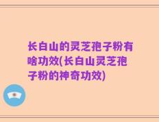 长白山的灵芝孢子粉有啥功效(长白山灵芝孢子粉的神奇功效)
