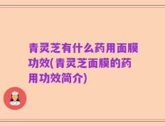 青灵芝有什么药用面膜功效(青灵芝面膜的药用功效简介)