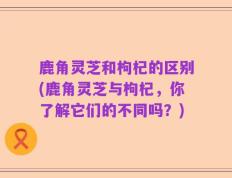 鹿角灵芝和枸杞的区别(鹿角灵芝与枸杞，你了解它们的不同吗？)