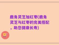 鹿角灵芝加红枣(鹿角灵芝与红枣的完美搭配，助您健康长寿)