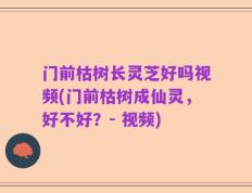 门前枯树长灵芝好吗视频(门前枯树成仙灵，好不好？- 视频)