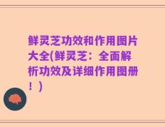 鲜灵芝功效和作用图片大全(鲜灵芝：全面解析功效及详细作用图册！)