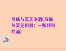 马蜂与灵芝泡酒(马蜂与灵芝相遇：一瓶特别的酒)