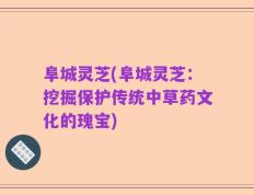 阜城灵芝(阜城灵芝：挖掘保护传统中草药文化的瑰宝)