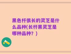 黑色杆很长的灵芝是什么品种(长杆黑灵芝是哪种品种？)