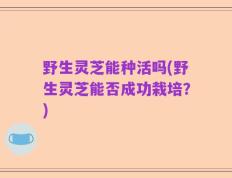 野生灵芝能种活吗(野生灵芝能否成功栽培？)