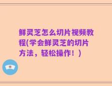 鲜灵芝怎么切片视频教程(学会鲜灵芝的切片方法，轻松操作！)