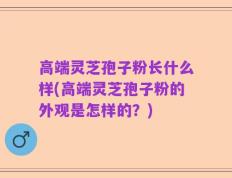 高端灵芝孢子粉长什么样(高端灵芝孢子粉的外观是怎样的？)