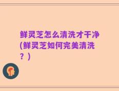 鲜灵芝怎么清洗才干净(鲜灵芝如何完美清洗？)