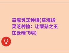 高原灵芝种植(高海拔灵芝种植：让蘑菇之王在云端飞翔)