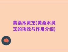黄桑木灵芝(黄桑木灵芝的功效与作用介绍)