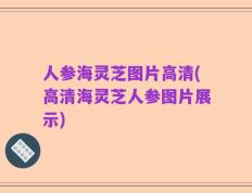 人参海灵芝图片高清(高清海灵芝人参图片展示)