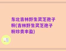 东北吉林野生灵芝孢子粉(吉林野生灵芝孢子粉珍贵丰盈)