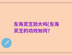 东海灵芝劲大吗(东海灵芝的功效如何？